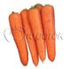 Морковь Курода фото №2 из 2
