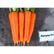 Морква Лагуна F1 25 тис. насіння 1,6-1,8