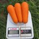 Морковь Боливар F1 100 тыс. семян 1,4- 1,6 фото №3 из 4