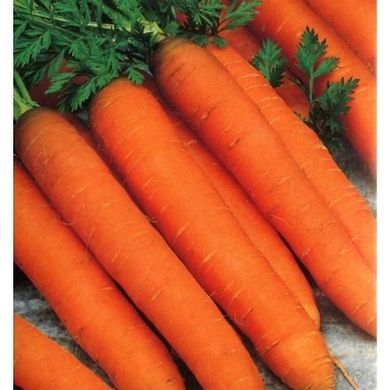 Морква Романс F1 100 тис. насіння 1,6-1,8
