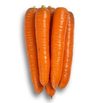 Морковь Морелия F1 25 тыс. семян 1,6-1,8