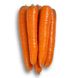 Морковь Морелия F1 фото №3 из 3