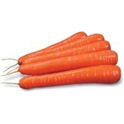 Морква Сіркана F1 100 тис. насіння 1,6-1,8
