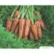 Морква Кардіф F1 100 тис. насіння 1,6-1,8