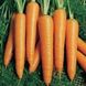 Морковь Вита Лонга фото №1 из 2