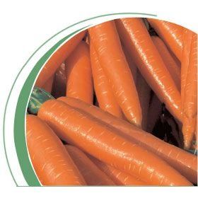 Морква Волкано F1 100 тис. насіння