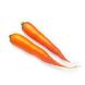 Морковь Каротан фото №2 из 2