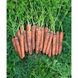 Морква Норвалк F1 100 тис. насіння 1,6-1,8