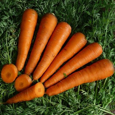 Морква Курода 0,5 кг
