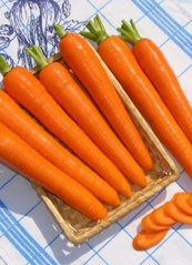 Морковь Карвора F1 200 тыс. семян
