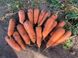 Морковь Нью Курода 0.5 кг 1,6-1,8 фото №3 из 4