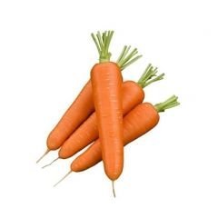 Морква Олімпо F1 100 тис. насіння 1,6-1,8