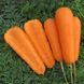 Морковь Боливар F1 100 тыс. семян 1,4- 1,6 фото №2 из 4
