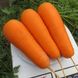Морковь Боливар F1 100 тыс. семян 1,4- 1,6 фото №1 из 4