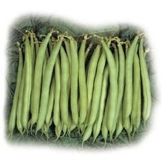 Спаржевая фасоль Нагано 100 тыс. семян