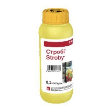 Фунгицид Строби в.г. 200г