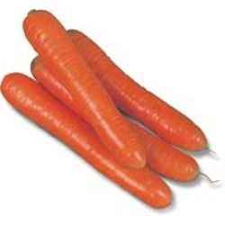 Морковь Колтан F1 100 тыс. семян 1,6-1,8