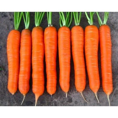 Морква Колтан F1 100 тис. насіння 1,6-1,8