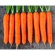 Морковь Колтан F1 фото №2 из 2