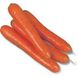 Морковь Колтан F1 фото №1 из 2