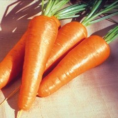 Морковь Ред Коред Lark Seeds 0,5 кг