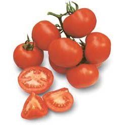 Насіння томату для вирощування у теплицях Шеннон F1