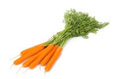 Морковь Имер F1 100 тыс. семян 1,6-1,8