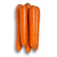 Морква Джерада F1 25 тис. насіння 1,8-2,0