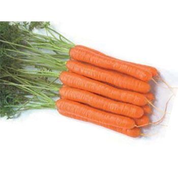 Морковь Монанта 50 г