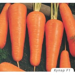 Морква Купар F1 100 тис. насіння 1,6-1,8