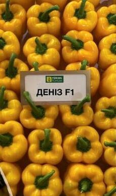 Перец Дениз F1 100 семян