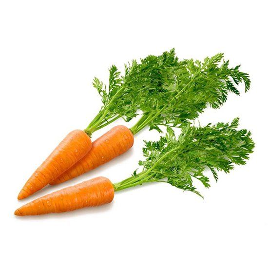  моркови  | Голландские семена моркови цена  .
