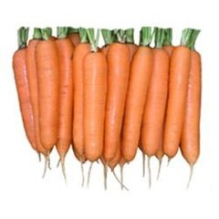 Морква Елеганза F1 100 тис. насіння 1,4-1,6