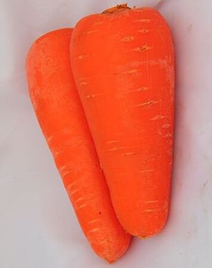 Морковь СВ 3118 ДХ F1 200 тыс. семян 1,6-1,8