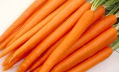 Морковь Апперкат F1 100 тыс. семян 1,4-1,6