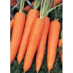 Морква Камаран F1 100 тис. насіння 1,6-1,8