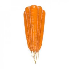 Морковь Трафорд F1 25 тыс. семян 1,6-1,8