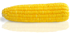 Кукурудза ГСС 36599 F1 100 тис. насіння