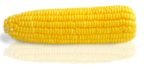 Кукурудза ГСС 36599 F1 100 тис. насіння