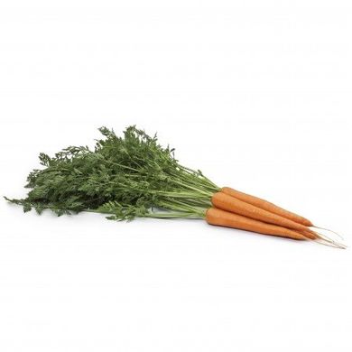 Морква Вармія F1 25 тис. насіння 1,6 – 1,8