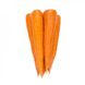 Морковь Вармия F1 фото №1 из 4