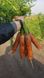 Морковь 1932 F1 25 тыс. семян 1,8-2,0 фото №2 из 4