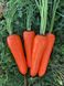 Морковь Йорк F1 25 тыс. семян 1,8-2,0 фото №4 из 5