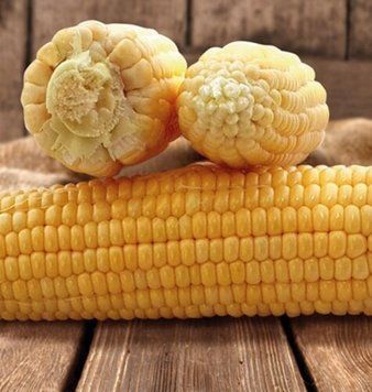 Кукуруза Танем F1 0,5 кг семян
