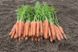 Морква Новара F1 100 тис. насінин 1,6-1,8